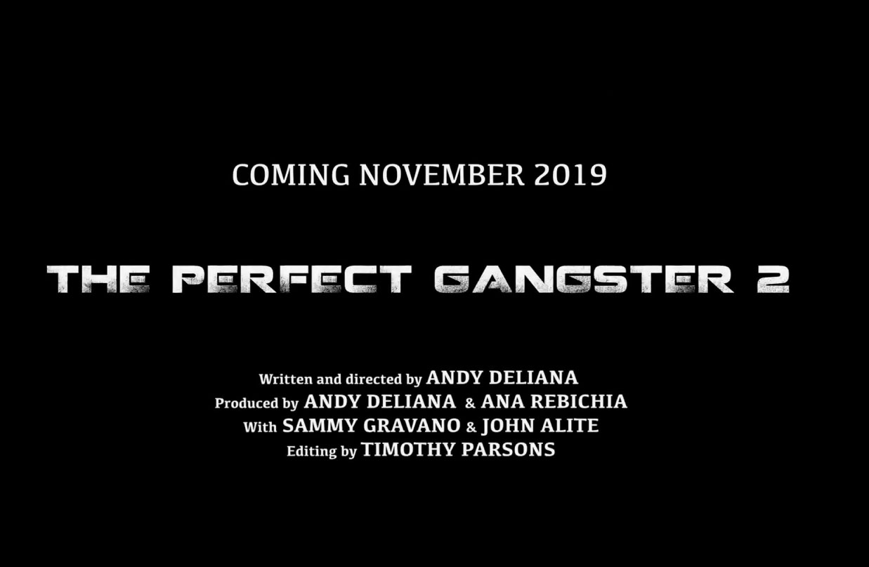 the perfect gangster 6