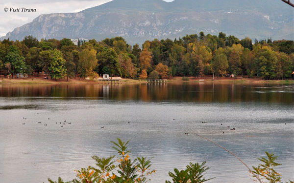 U fut në Liqenin Artificial të Tiranës dhe rrezikoi të mbytej, përfundon në spital 25-vjeçari